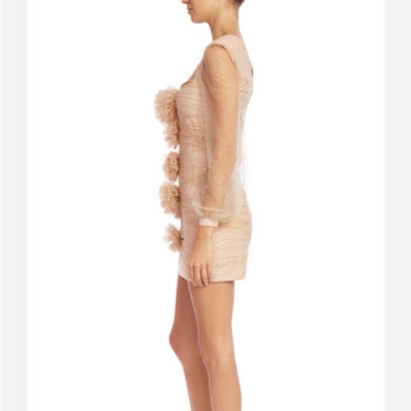Badgley Mischka Party Crystal-Embellished Mini Dress Blush Size 2 NWT $595 - Picture 4 of 7